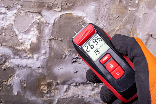 Best DIY Mold Remediation Support Services in Brookville, OH